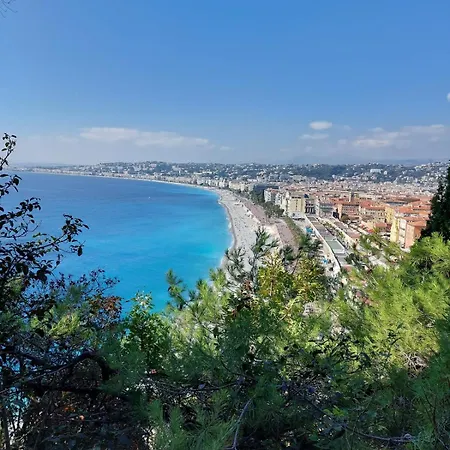 Sibylle - Trip - - By Tgb * Nizza